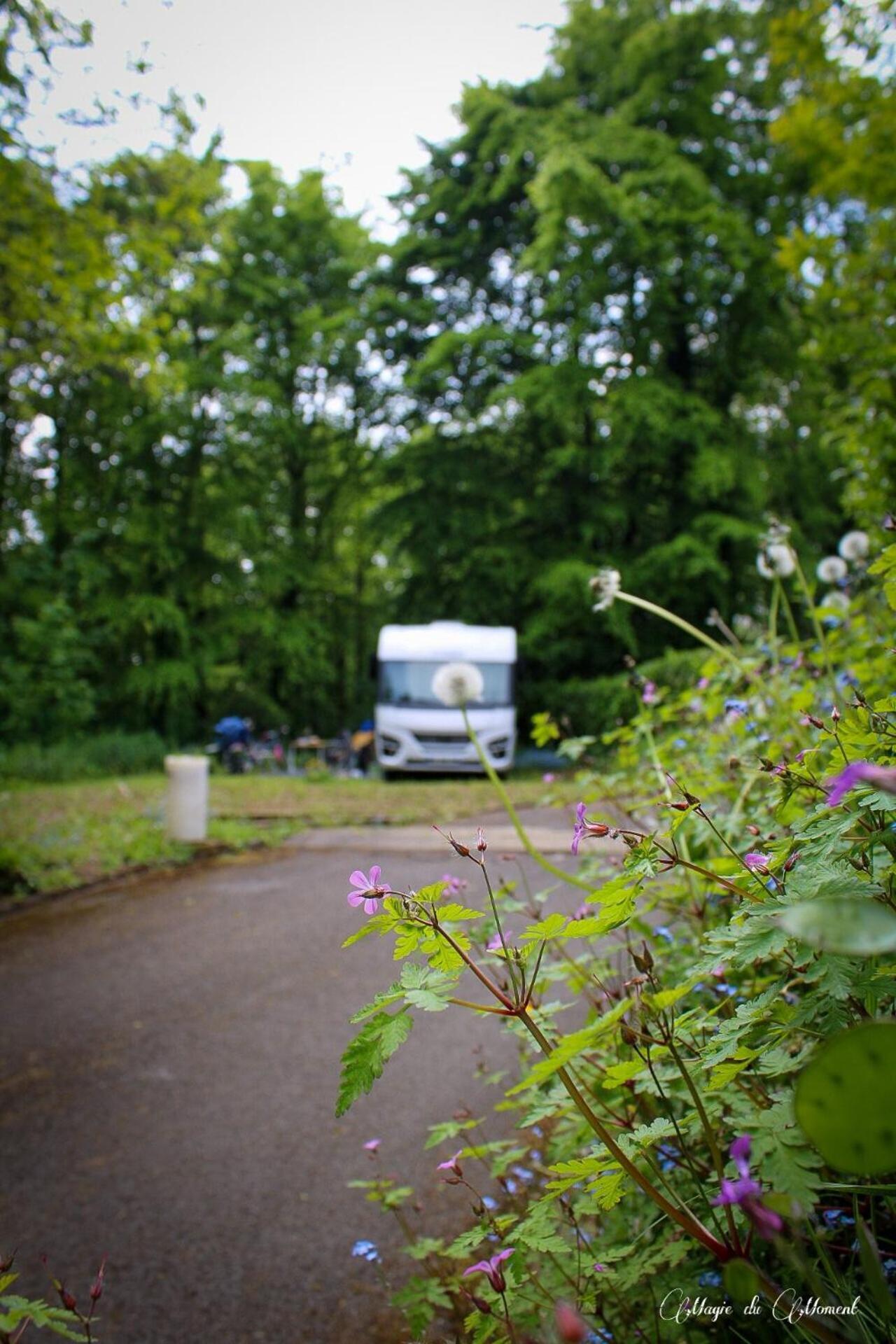 Camping La Sabliere Saint-Jans-Cappel Εξωτερικό φωτογραφία